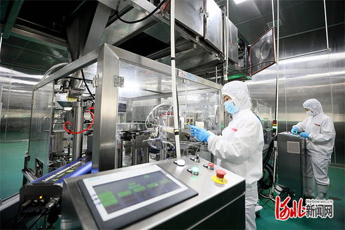 高質(zhì)量發(fā)展調(diào)研行 邢臺食品加工業(yè)挺進(jìn)功能性食品新賽道